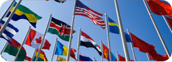 flags of many nations